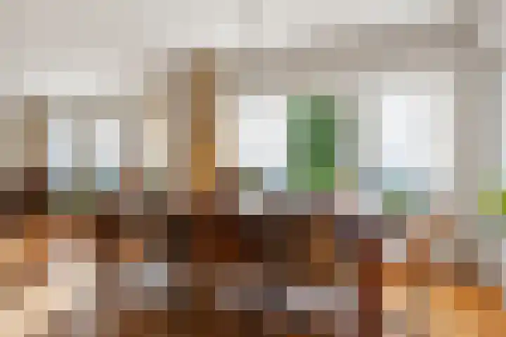 Nassaulaan 45 Ede thumbnail 14