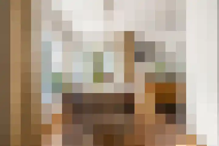 Nassaulaan 45 Ede thumbnail 16