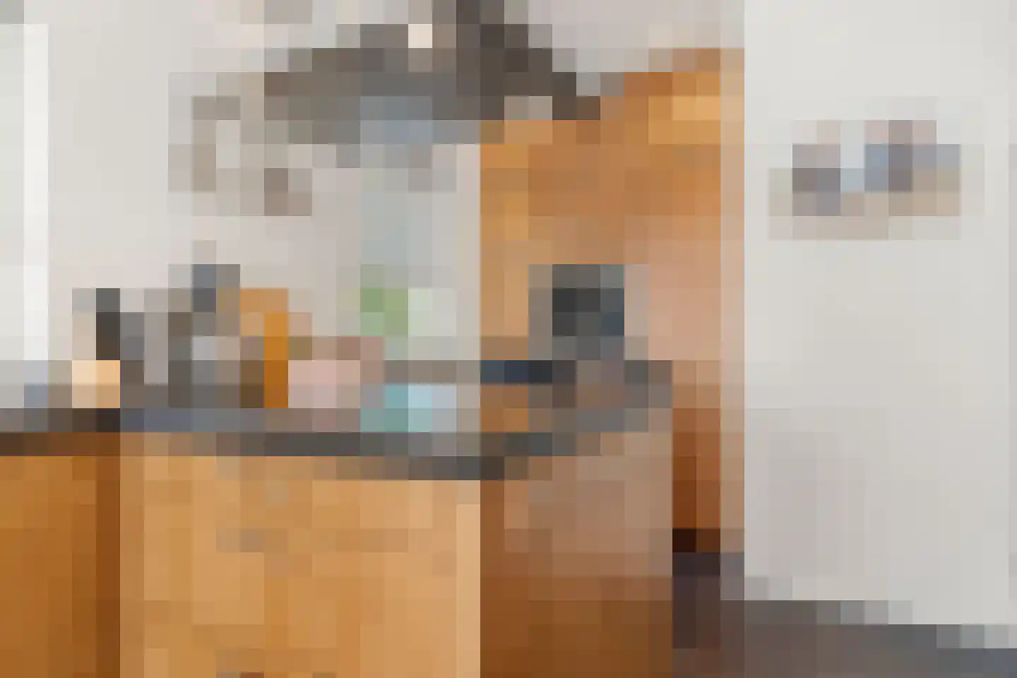 Nassaulaan 45 Ede thumbnail 18