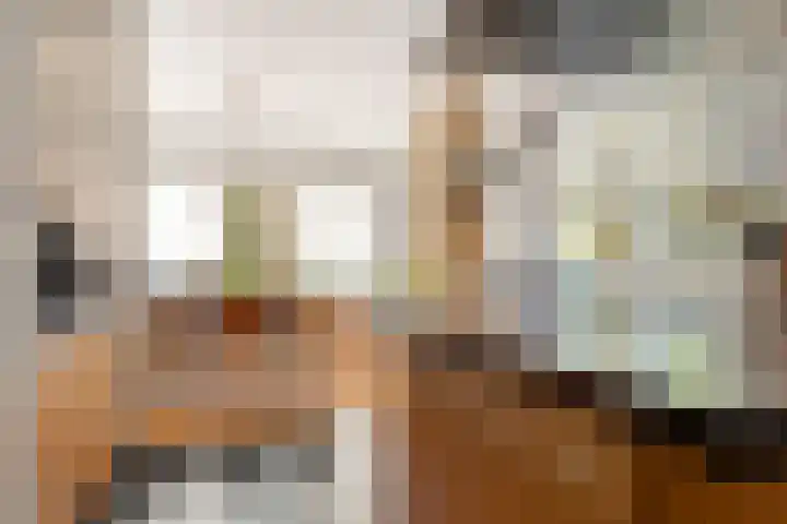 Nassaulaan 45 Ede thumbnail 19