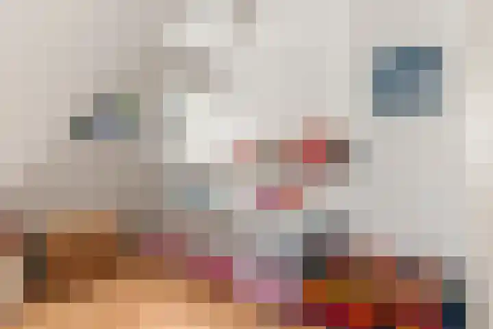 Nassaulaan 45 Ede thumbnail 28