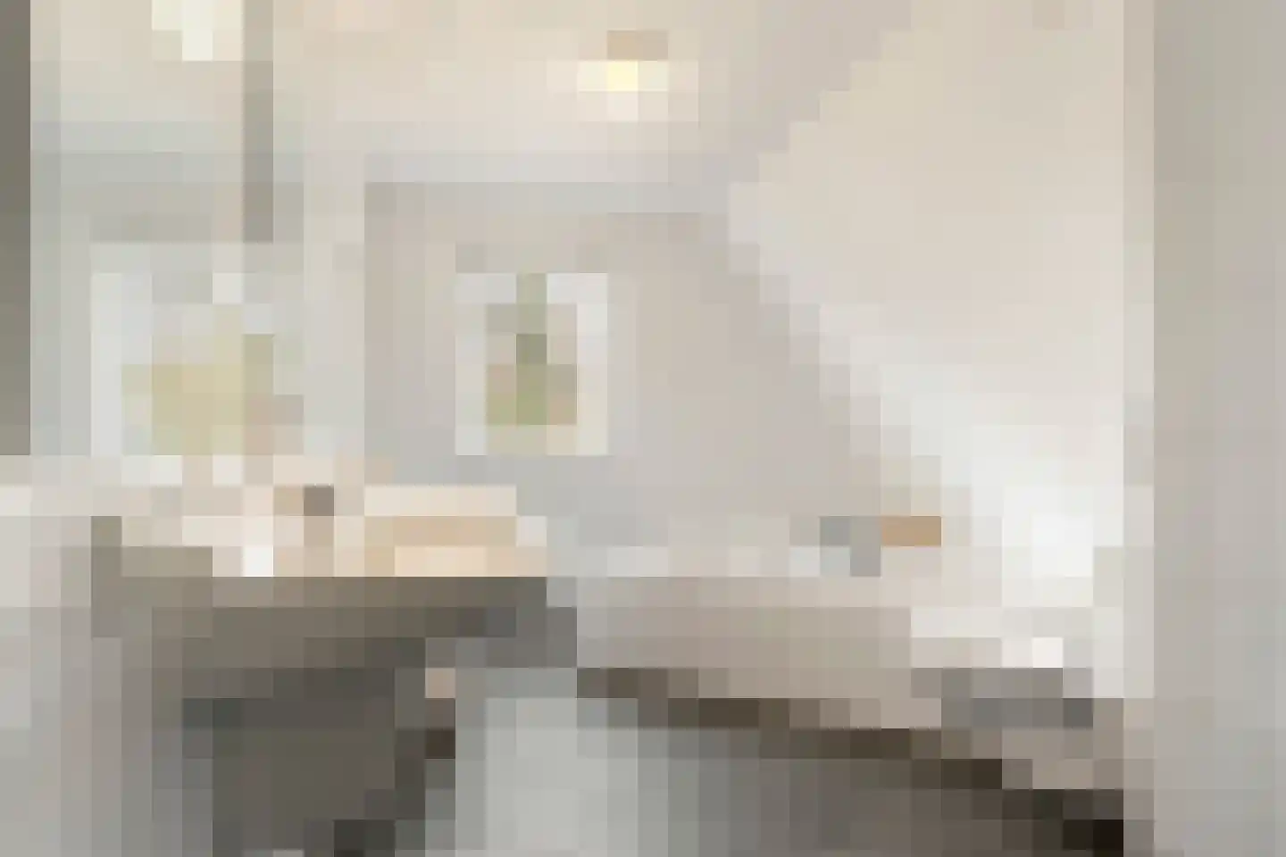 Nassaulaan 45 Ede thumbnail 30
