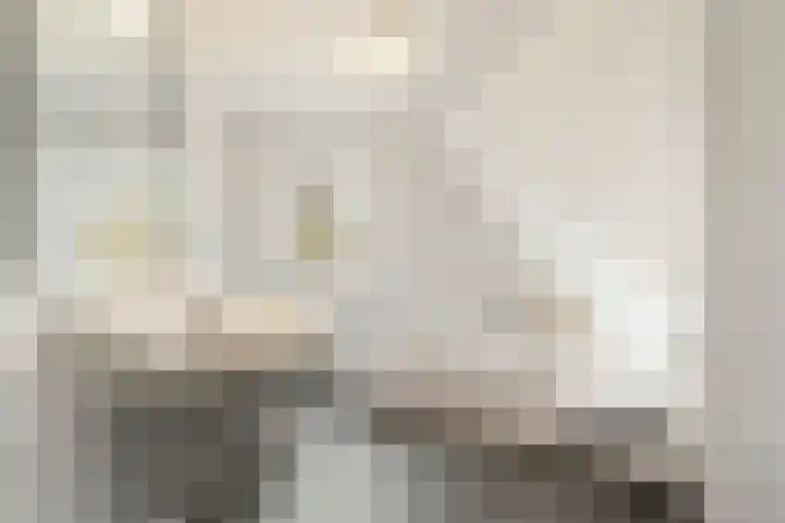 Nassaulaan 45 Ede thumbnail 30