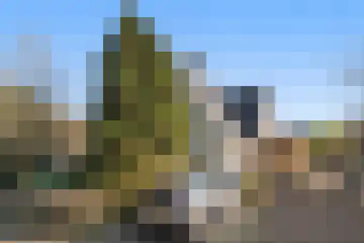 Nassaulaan 45 Ede thumbnail 41