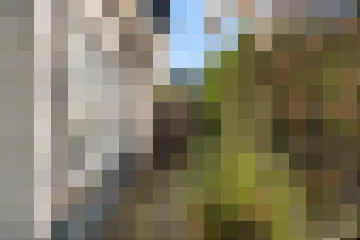 Nassaulaan 45 Ede thumbnail 42