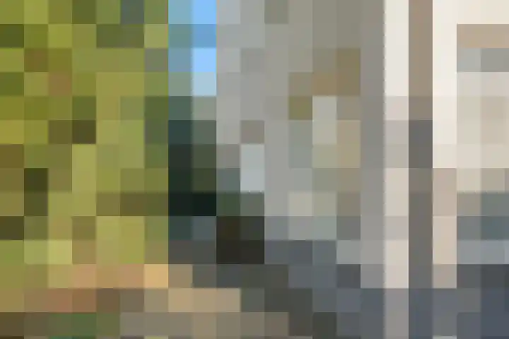 Nassaulaan 45 Ede thumbnail 43
