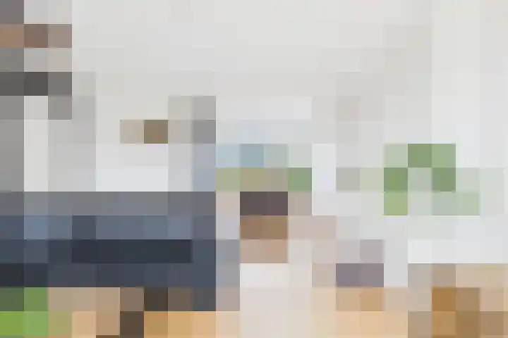 Nassaulaan 45 Middelburg thumbnail 15