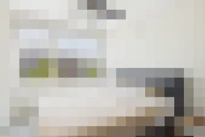 Nassaulaan 45 Middelburg thumbnail 18