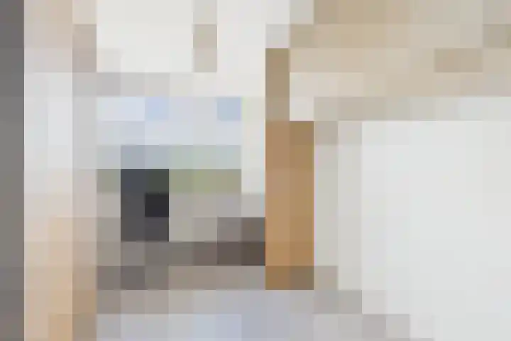 Nassaulaan 45 Middelburg thumbnail 21