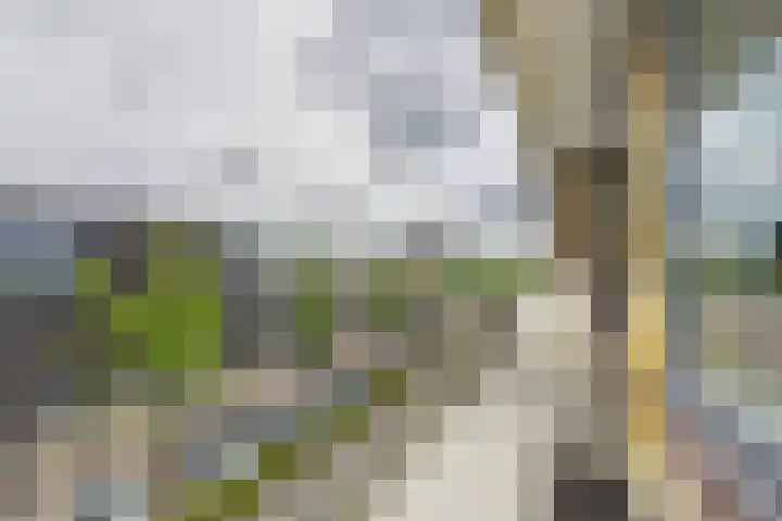Nassaulaan 45 Middelburg thumbnail 5