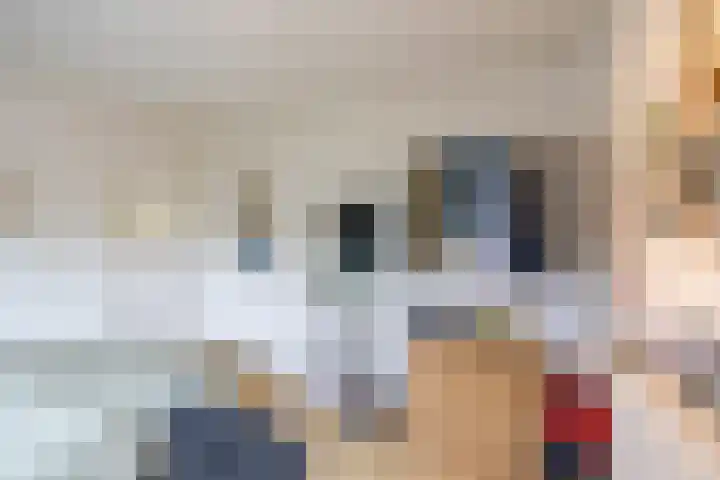 Nassaulaan 46 a Groningen thumbnail 25