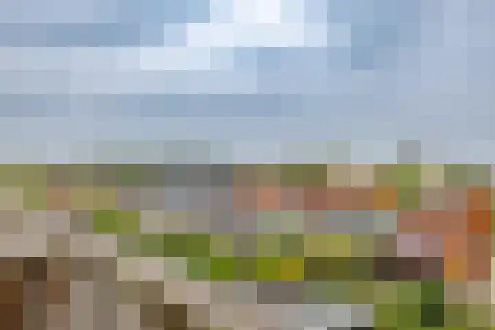 Nassaulaan 46 a Groningen thumbnail 30