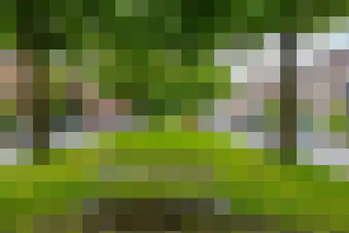Nassaulaan 46 a Groningen thumbnail 32