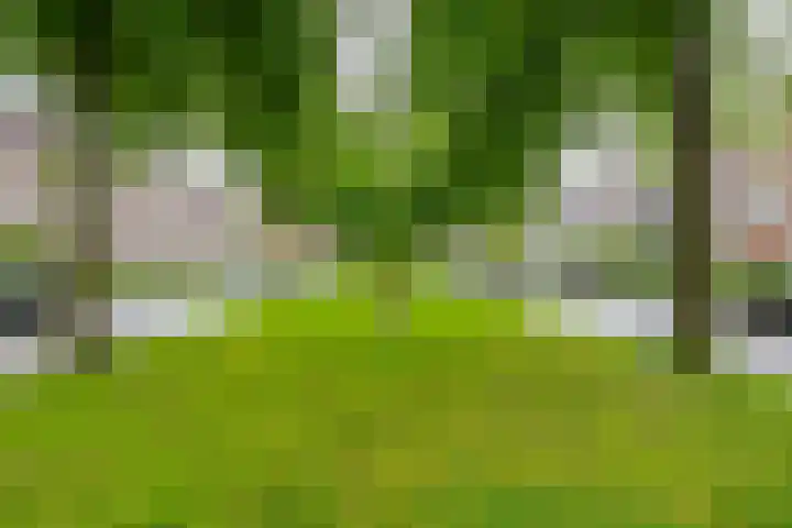 Nassaulaan 46 a Groningen thumbnail 33