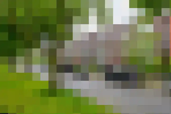 Nassaulaan 46 a Groningen thumbnail 5