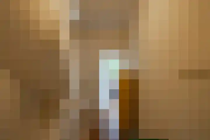 Nassaulaan 46 a Groningen thumbnail 9