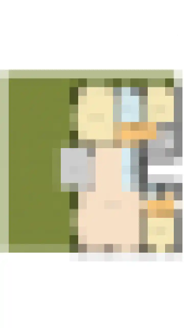 Nassaulaan 47 A Rijen thumbnail 13