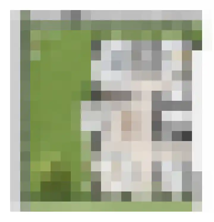 Nassaulaan 47 A Rijen foto 2
