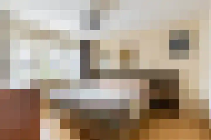 Nassaulaan 47 A Vlijmen thumbnail 13