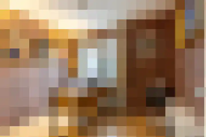 Nassaulaan 47 A Vlijmen thumbnail 15