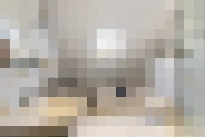 Nassaulaan 47 A Vlijmen thumbnail 17