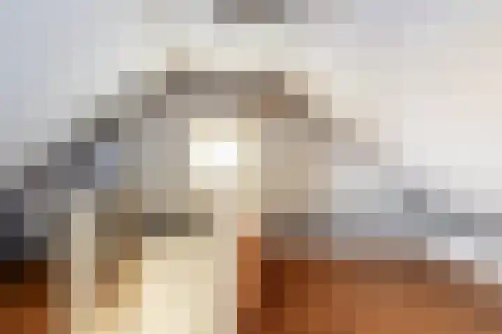 Nassaulaan 47 A Vlijmen thumbnail 22