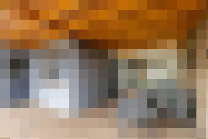 Nassaulaan 47 A Vlijmen thumbnail 26