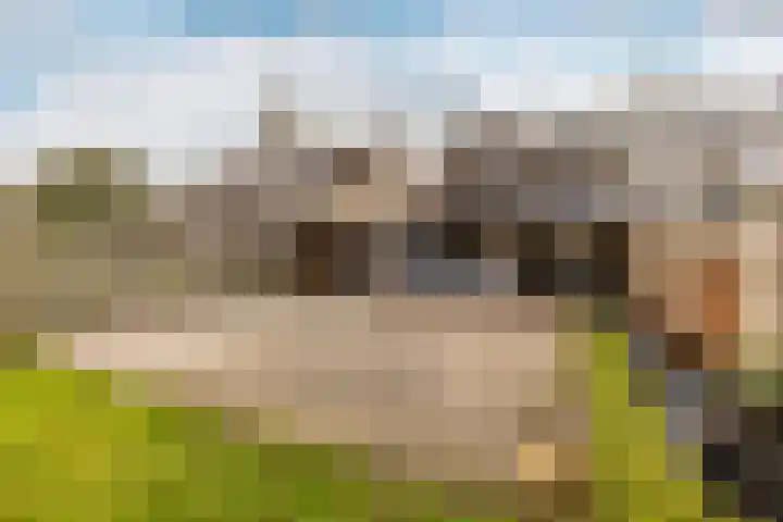 Nassaulaan 47 A Vlijmen thumbnail 27