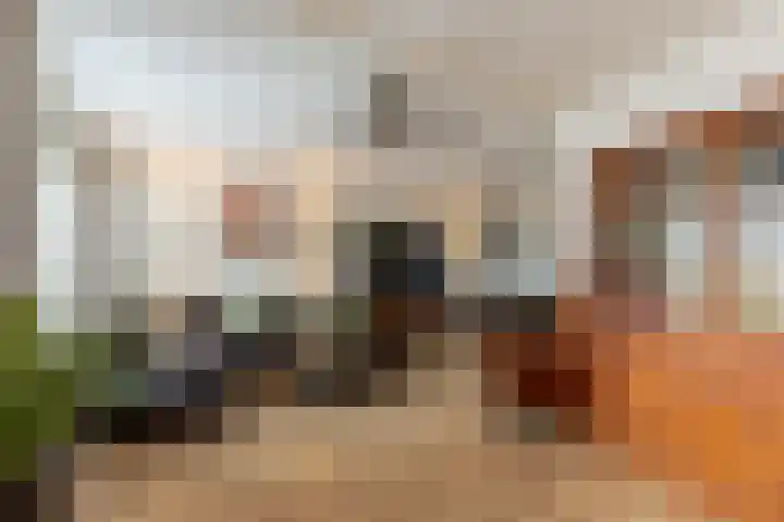 Nassaulaan 47 A Vlijmen foto 3