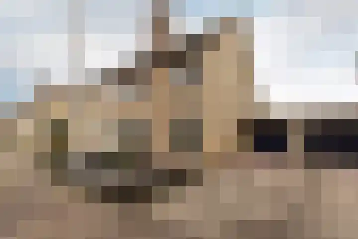 Nassaulaan 47 A Vlijmen thumbnail 31