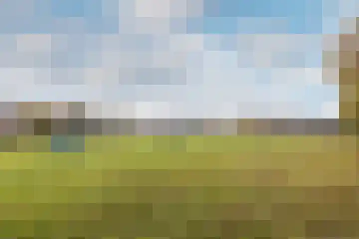 Nassaulaan 47 A Vlijmen thumbnail 34