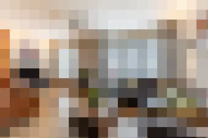 Nassaulaan 47 A Vlijmen thumbnail 4