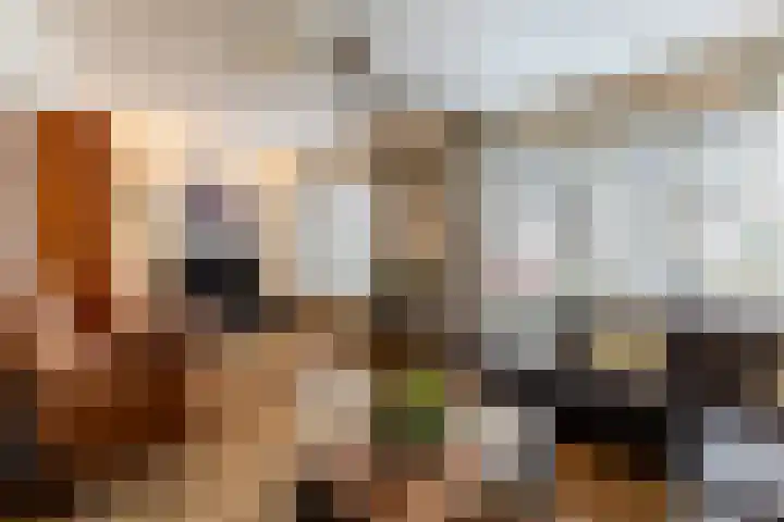 Nassaulaan 47 A Vlijmen thumbnail 5