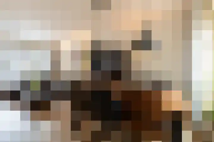 Nassaulaan 47 A Vlijmen thumbnail 8