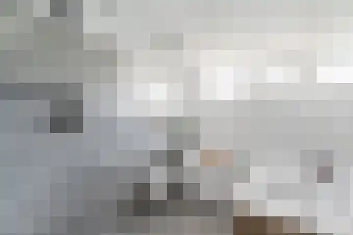Nassaulaan 47 Hoevelaken thumbnail 23