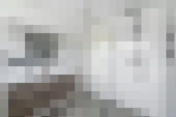 Nassaulaan 47 Hoevelaken thumbnail 24