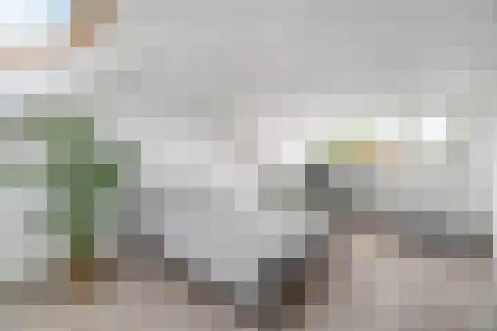 Nassaulaan 47 Hoevelaken thumbnail 26