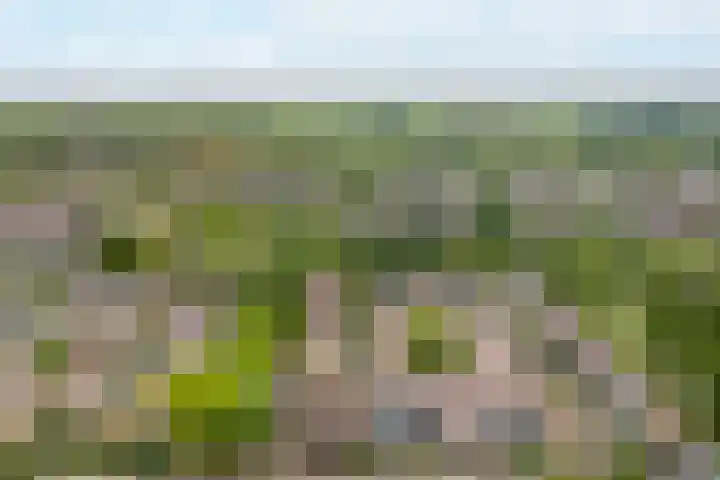 Nassaulaan 47 Hoevelaken thumbnail 31