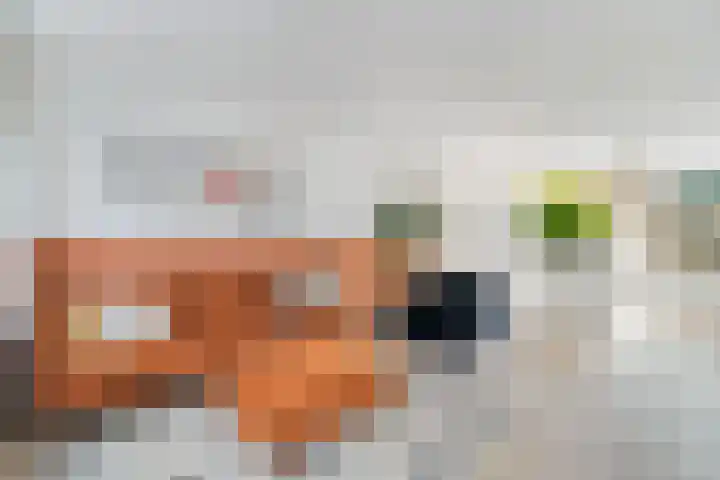 Nassaulaan 47 Hoevelaken thumbnail 7