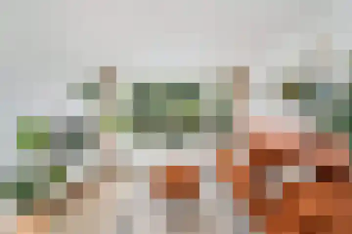 Nassaulaan 47 Hoevelaken thumbnail 8