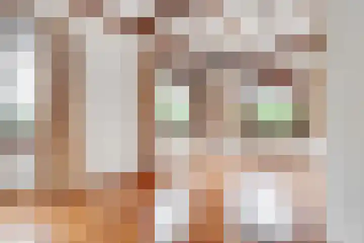 Nassaulaan 48 Hilversum thumbnail 11
