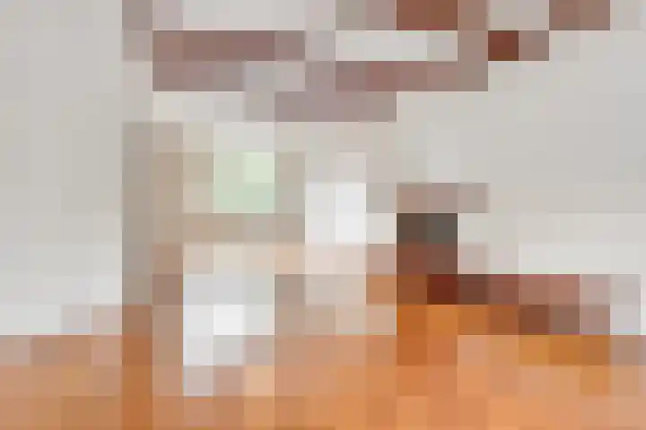 Nassaulaan 48 Hilversum thumbnail 12