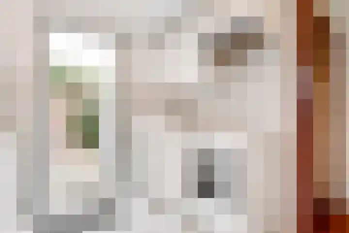 Nassaulaan 48 Hilversum thumbnail 14