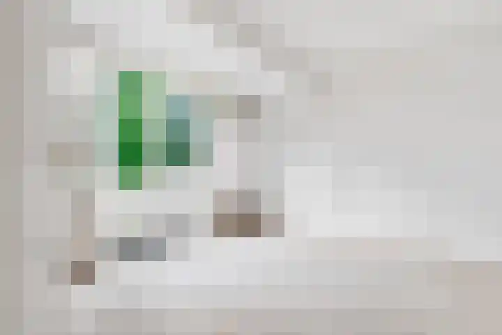 Nassaulaan 48 Hilversum thumbnail 22