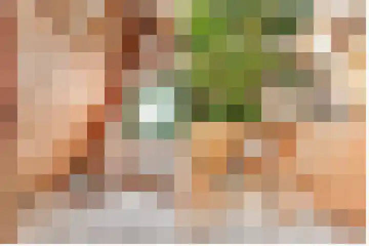 Nassaulaan 48 Hilversum thumbnail 33
