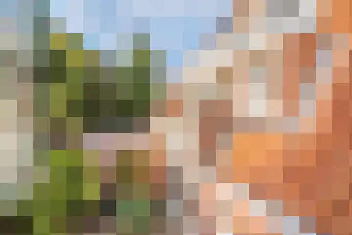 Nassaulaan 48 Hilversum thumbnail 40