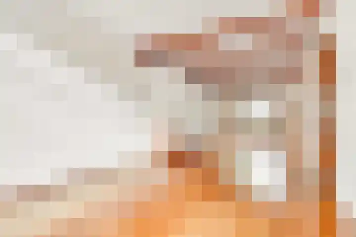 Nassaulaan 48 Hilversum thumbnail 8