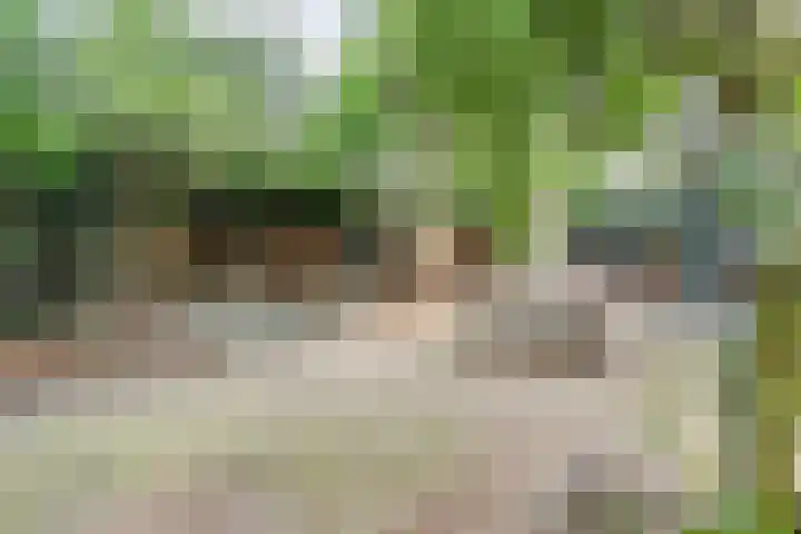 Nassaulaan 49 Baarle-Nassau thumbnail 31