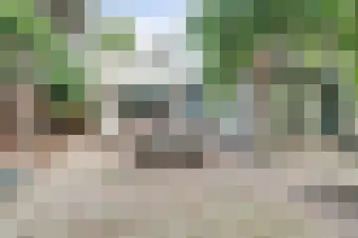 Nassaulaan 49 Baarle-Nassau thumbnail 32