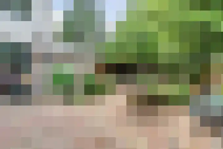 Nassaulaan 49 Baarle-Nassau thumbnail 34